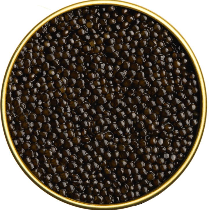 Proscura Baerii Kaviar